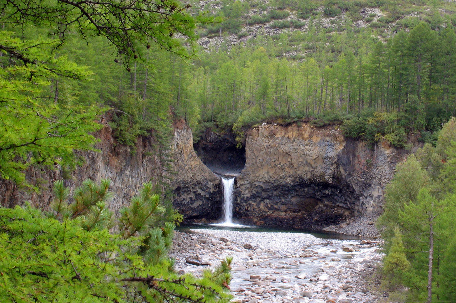 Фото Забайкальских Животных